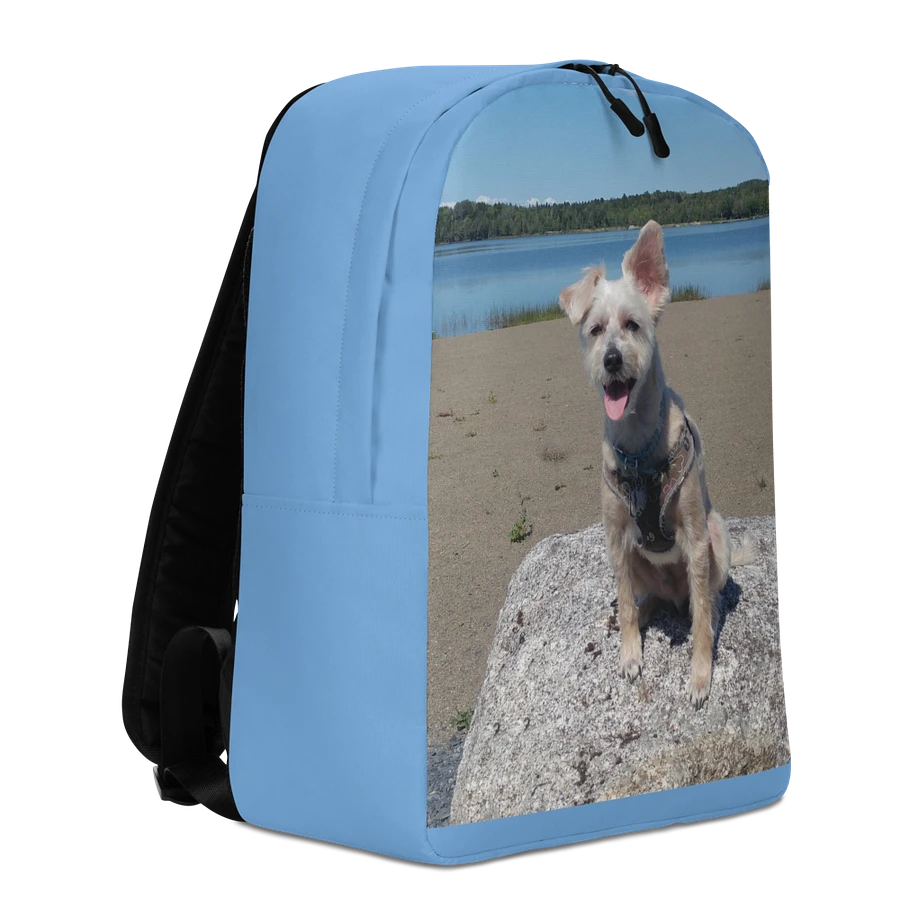 Mozzie At The Lake Backpack product image (4)