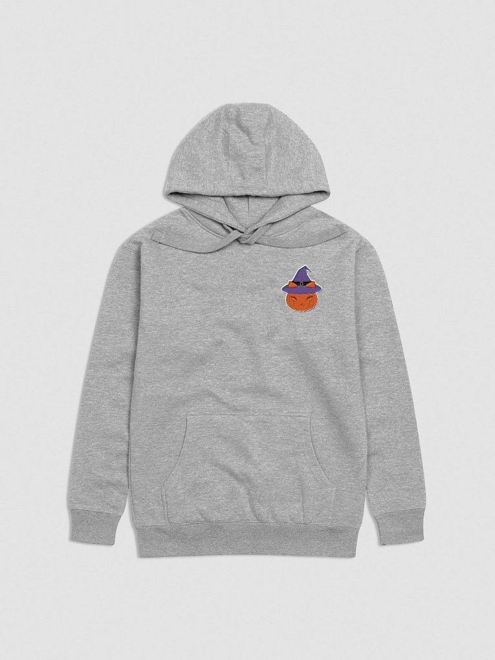 Witchy Pumpkin Kitty Embroidered Hoodie product image (4)