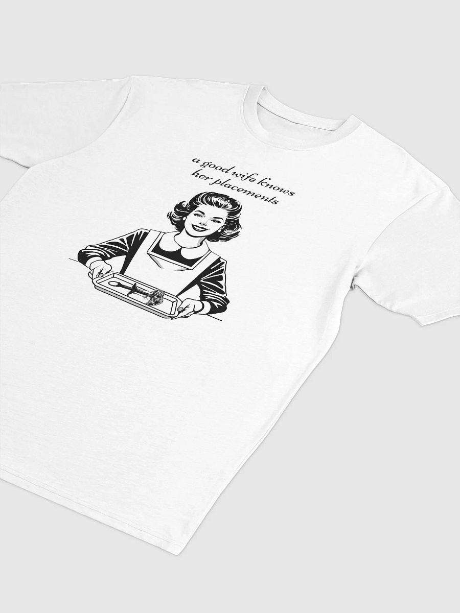 A good wife knows her place(ments) - Premium Tee [Men's Sizing] product image (3)