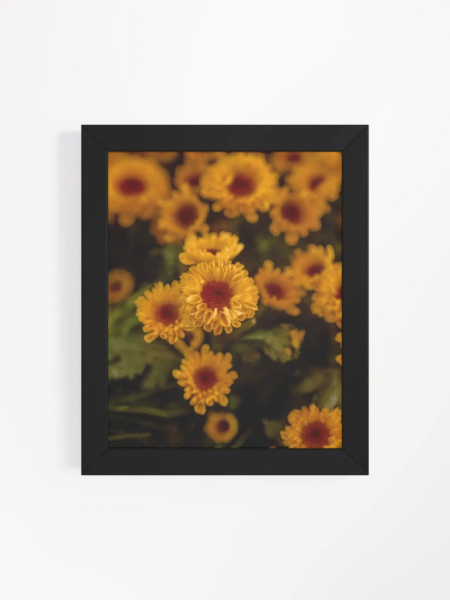 Daisies (with frame) product image (18)