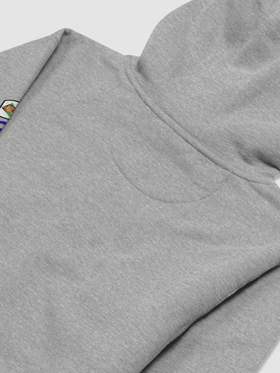 Affordable Hoodie- Logo Front & Sleeve product image (4)