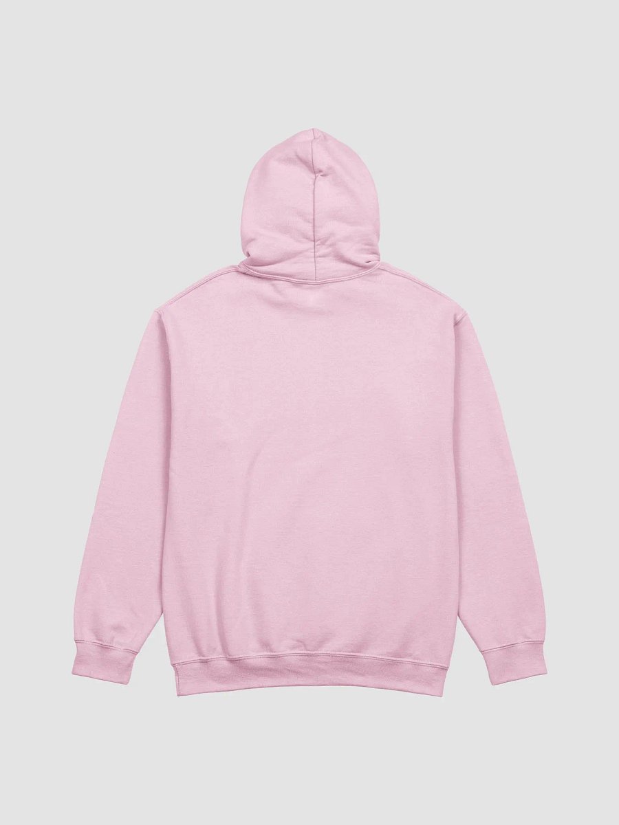 Dachshund puppy hoodie product image (9)