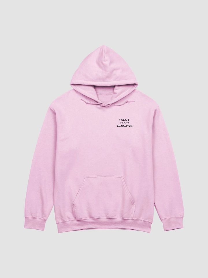 FUNNY *and* SENSITIVE (sm. design) classic hoodie product image (38)