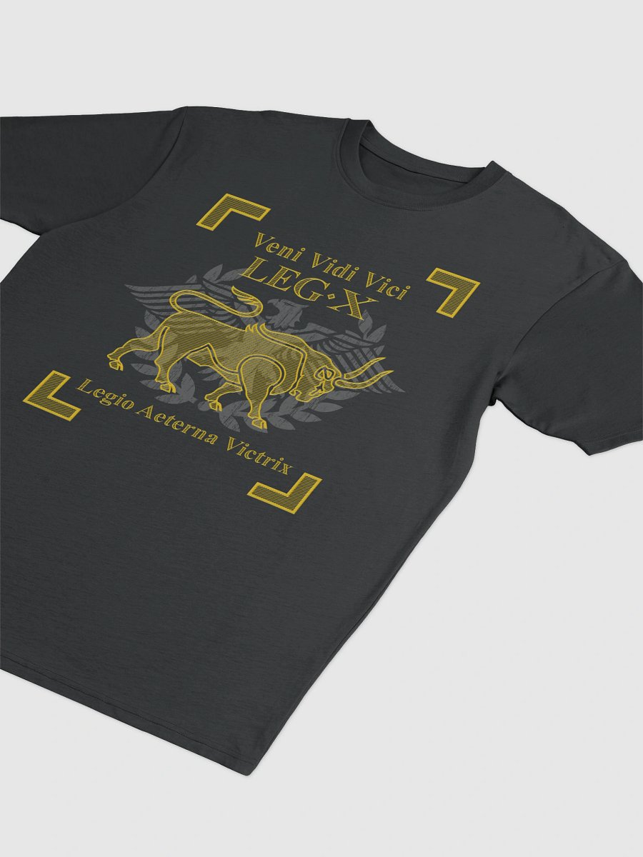 Legion X - veni vidi vici - Heavy Tee product image (4)