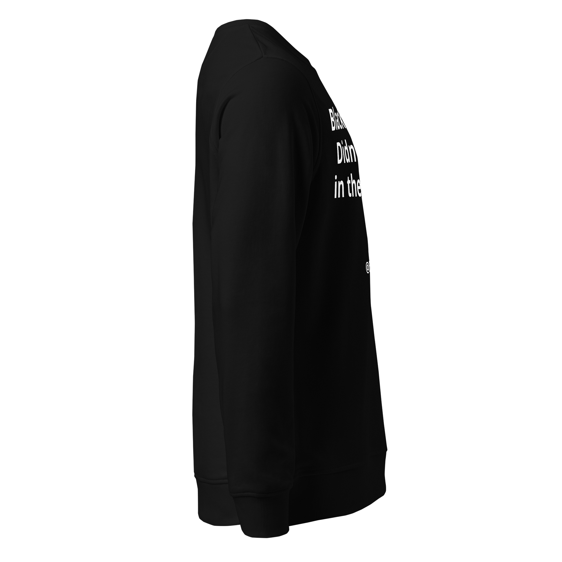 Black History Didn’t Start in the 1960s Sweatshirt product image (4)