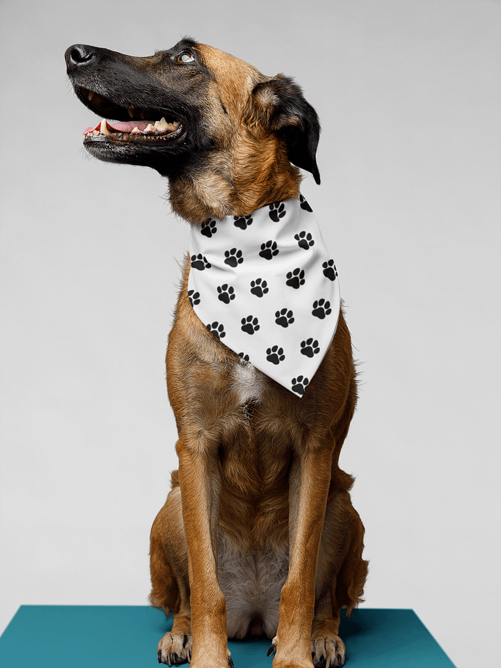 Jack's Paw Approved Bandana product image (1)