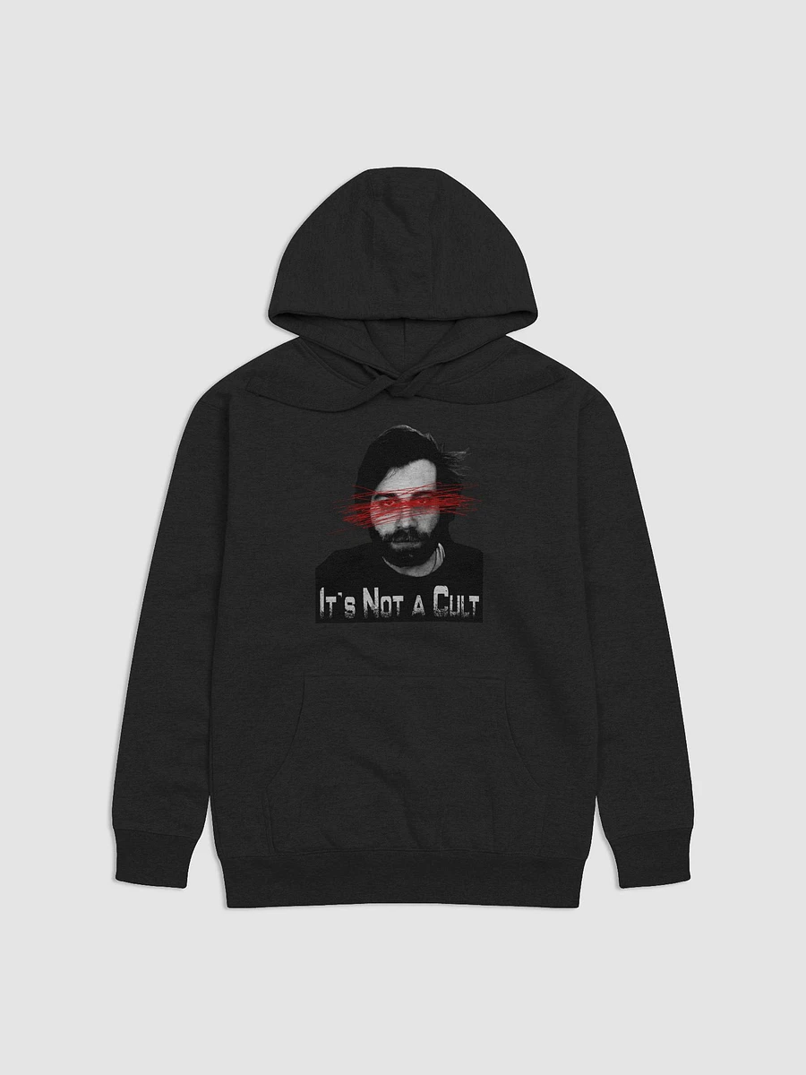 The Club Wants You Hoodie product image (7)