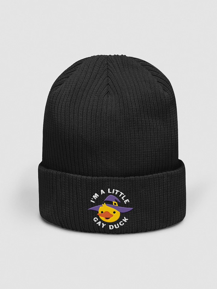 Little Gay Duck Beanie product image (1)
