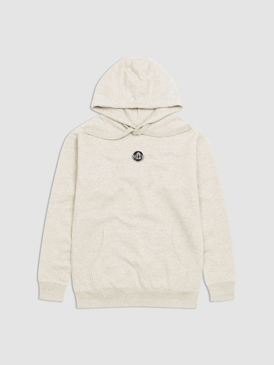Fearless, Fabulous and Free 1920s Inspired - Hoodie product image (2)