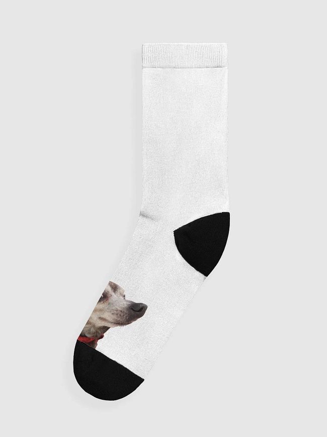 Fox Sox