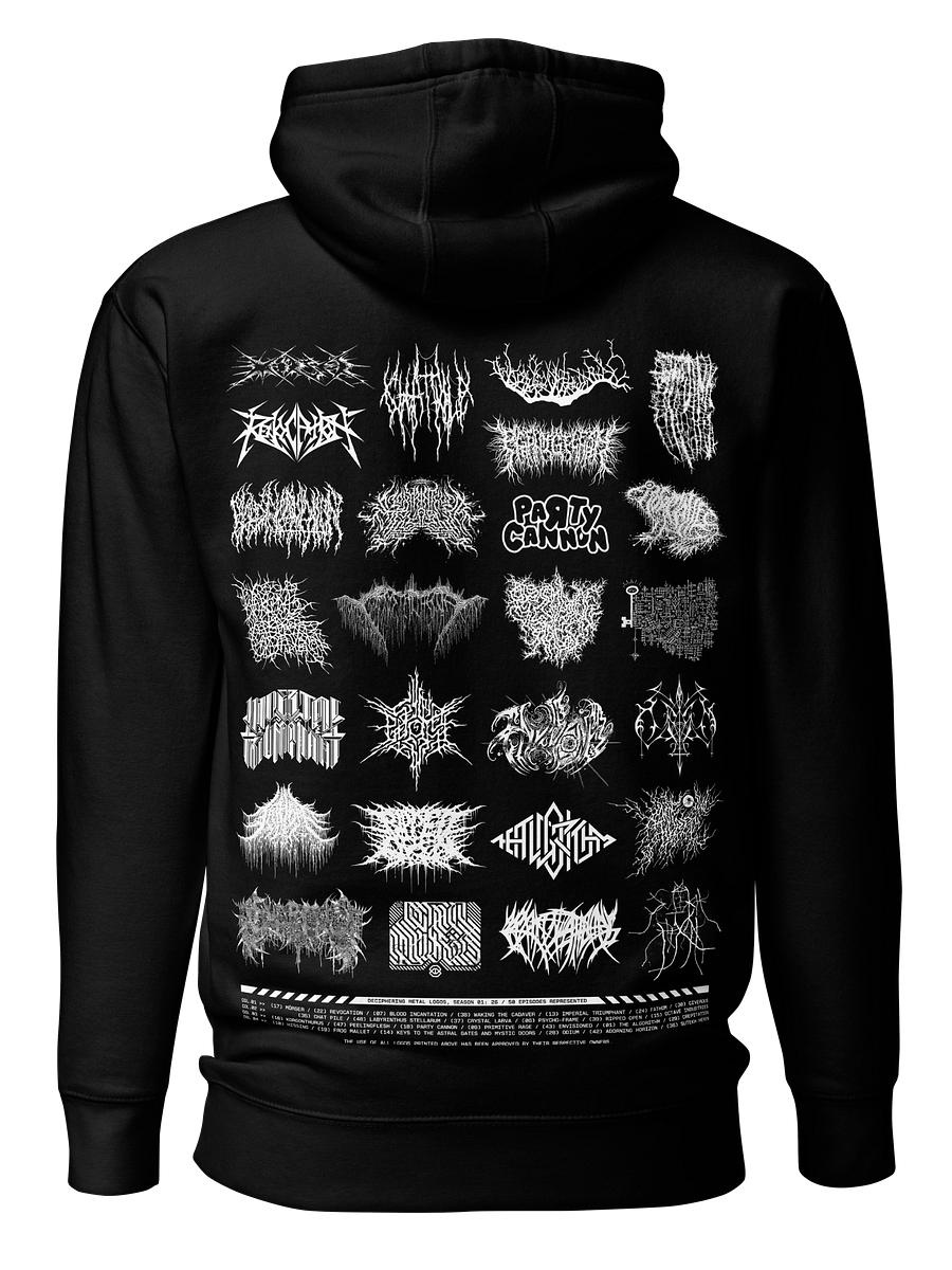 DML Season 01 Tour Hoodie product image (2)