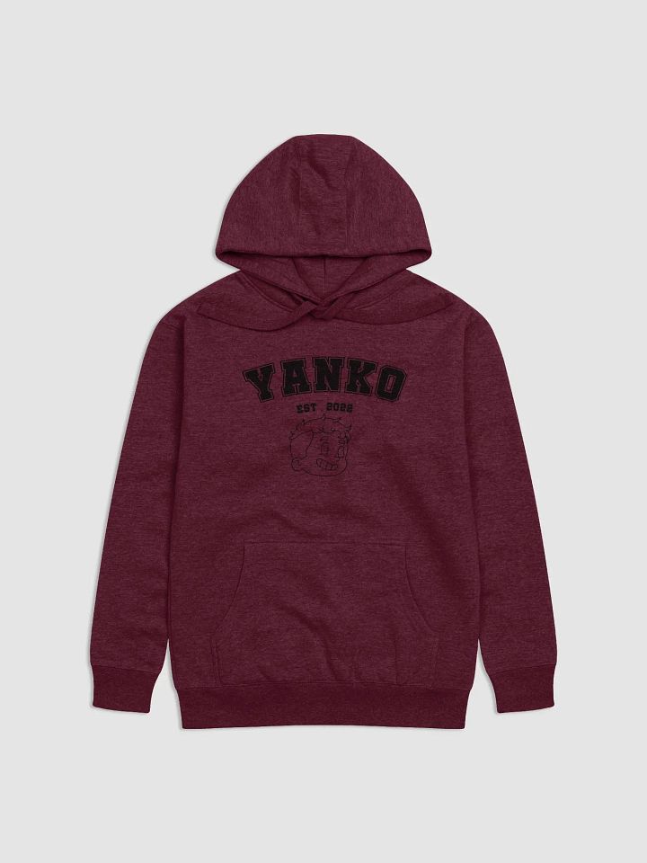 YANKO HOODIE product image (3)