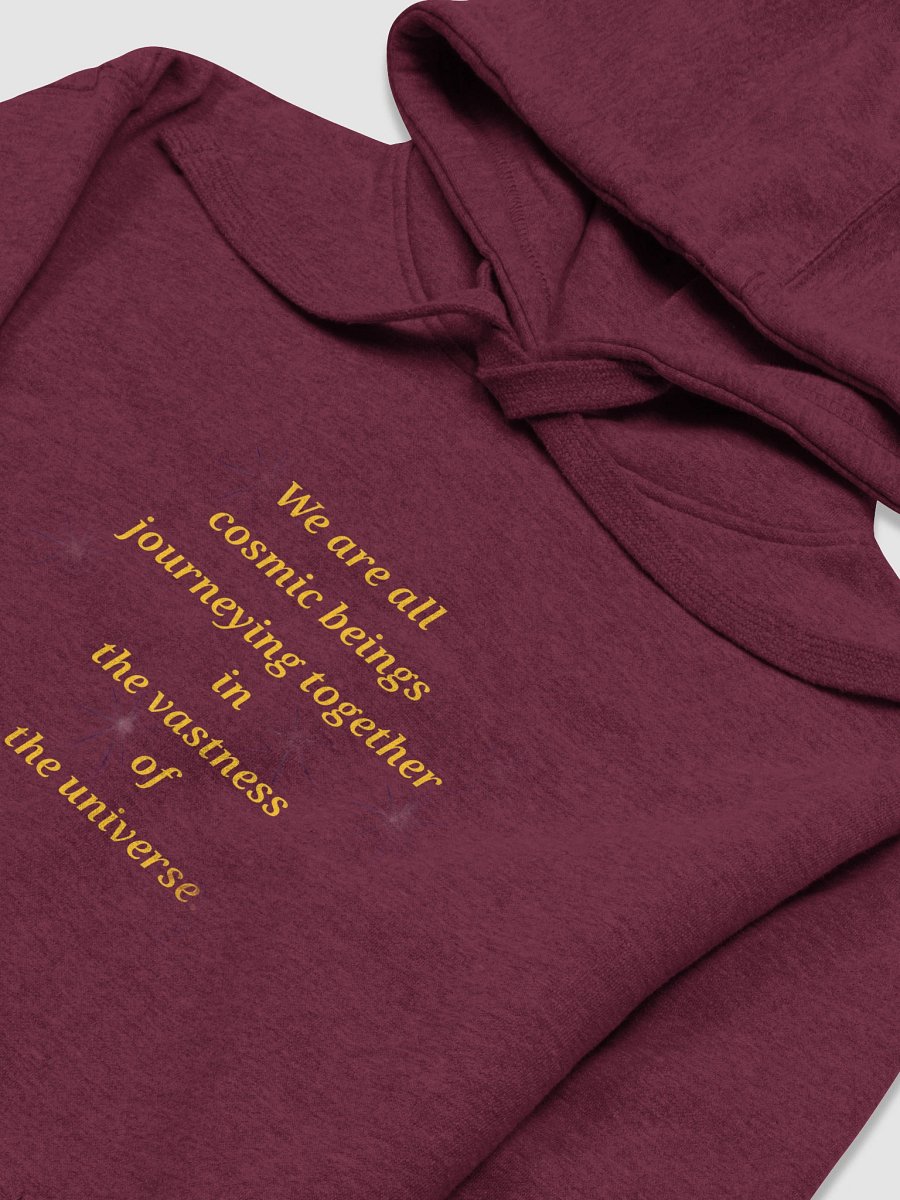 Cosmic Journey Unisex Premium Hoodie product image (3)