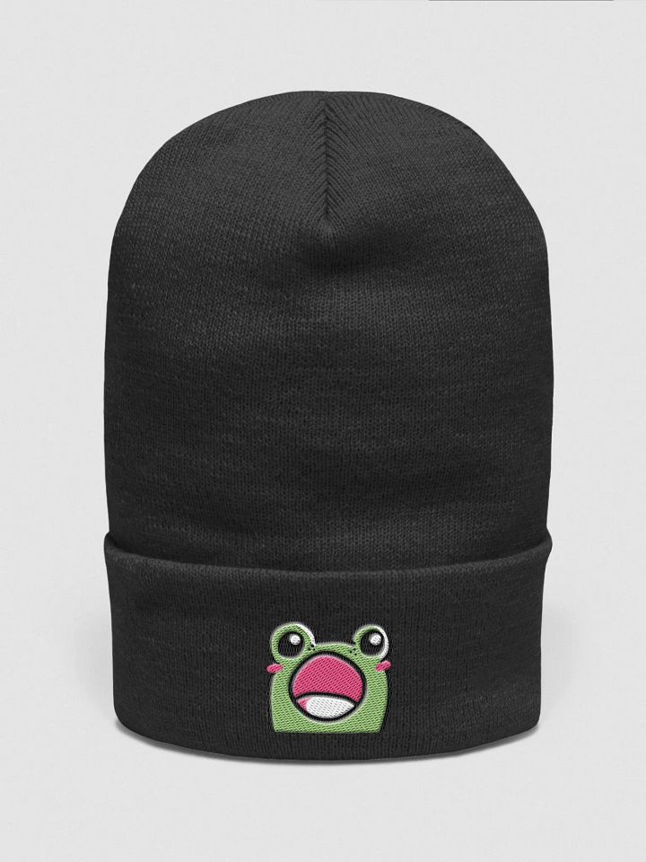 Forg Pop Beanie product image (1)