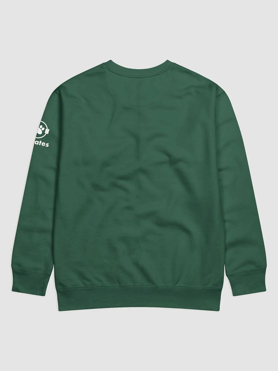 Catlates 100 Sweatshirt product image (2)
