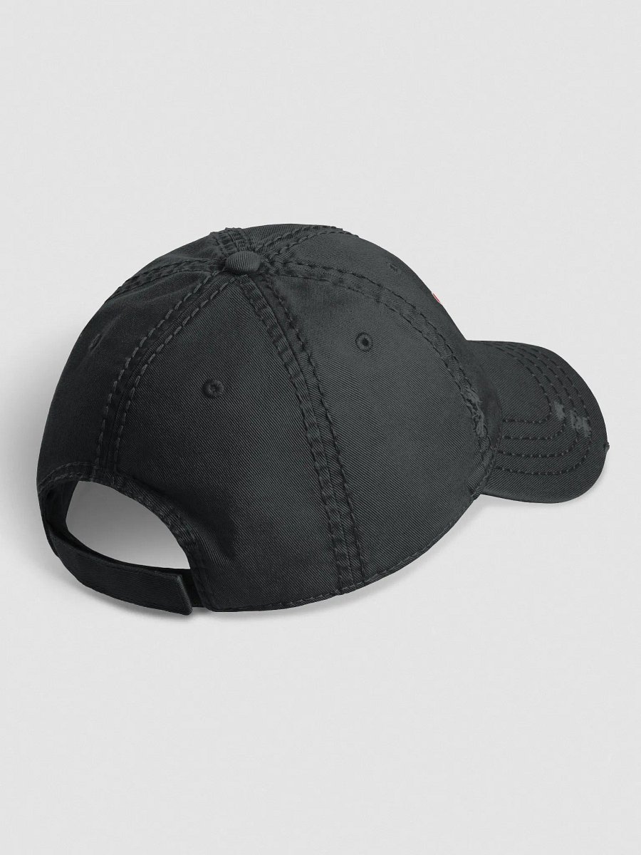 GINGER UNIVERSITY DISTRESSED DAD HAT product image (3)