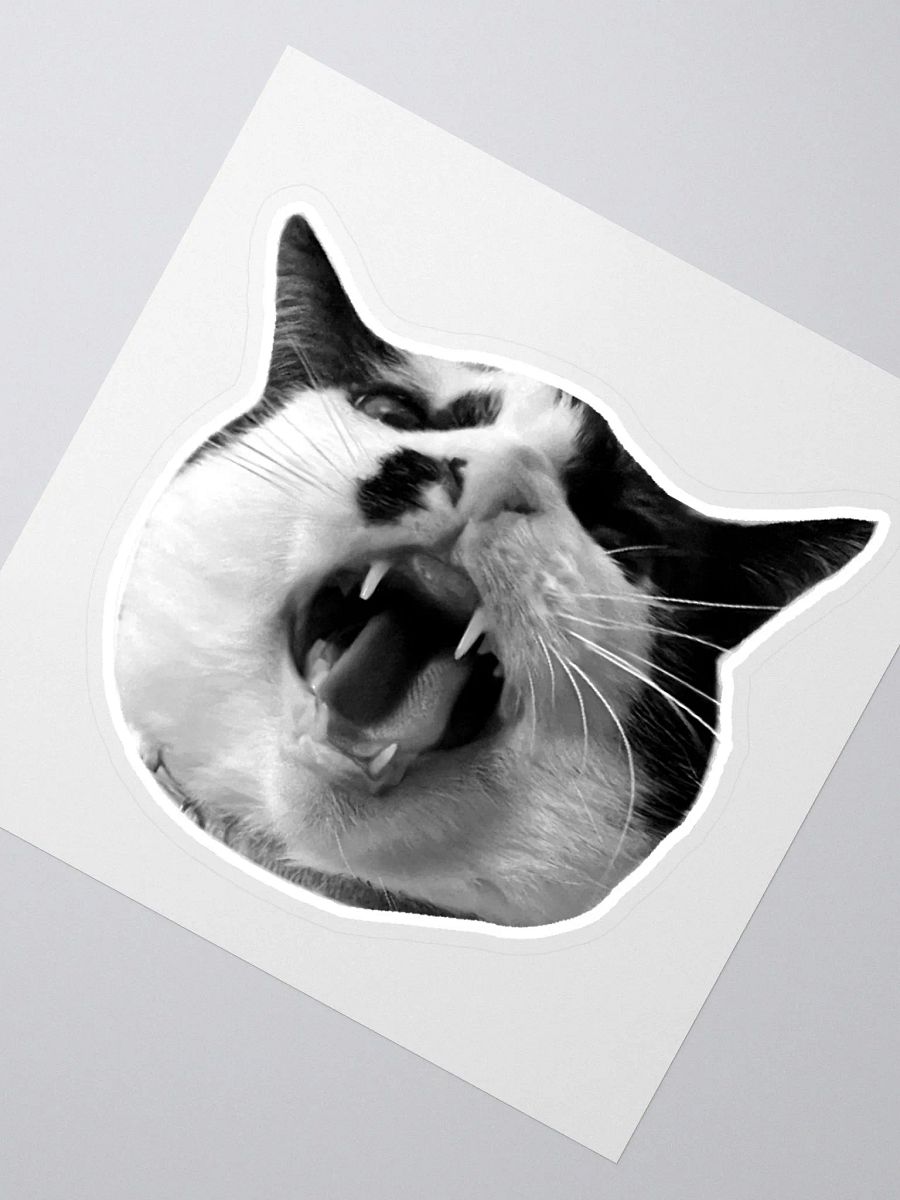 LOIN - Sticker product image (2)
