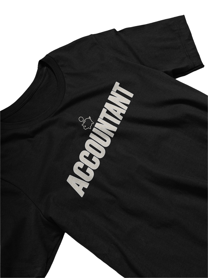 Accountant product image (2)