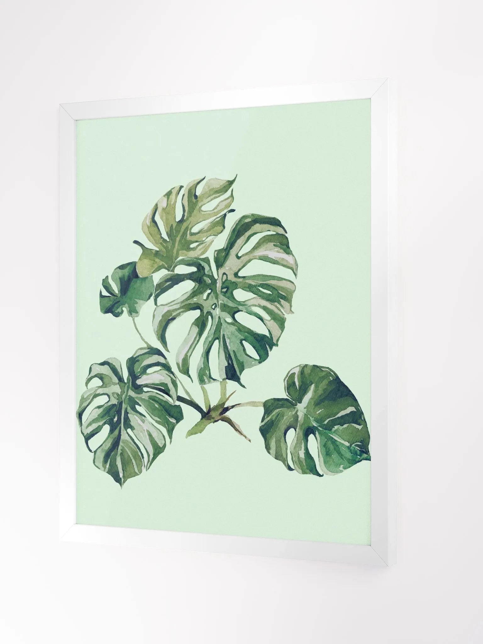 Botanical Abstract Aesthetic Floral Tropical Monstera product image (3)