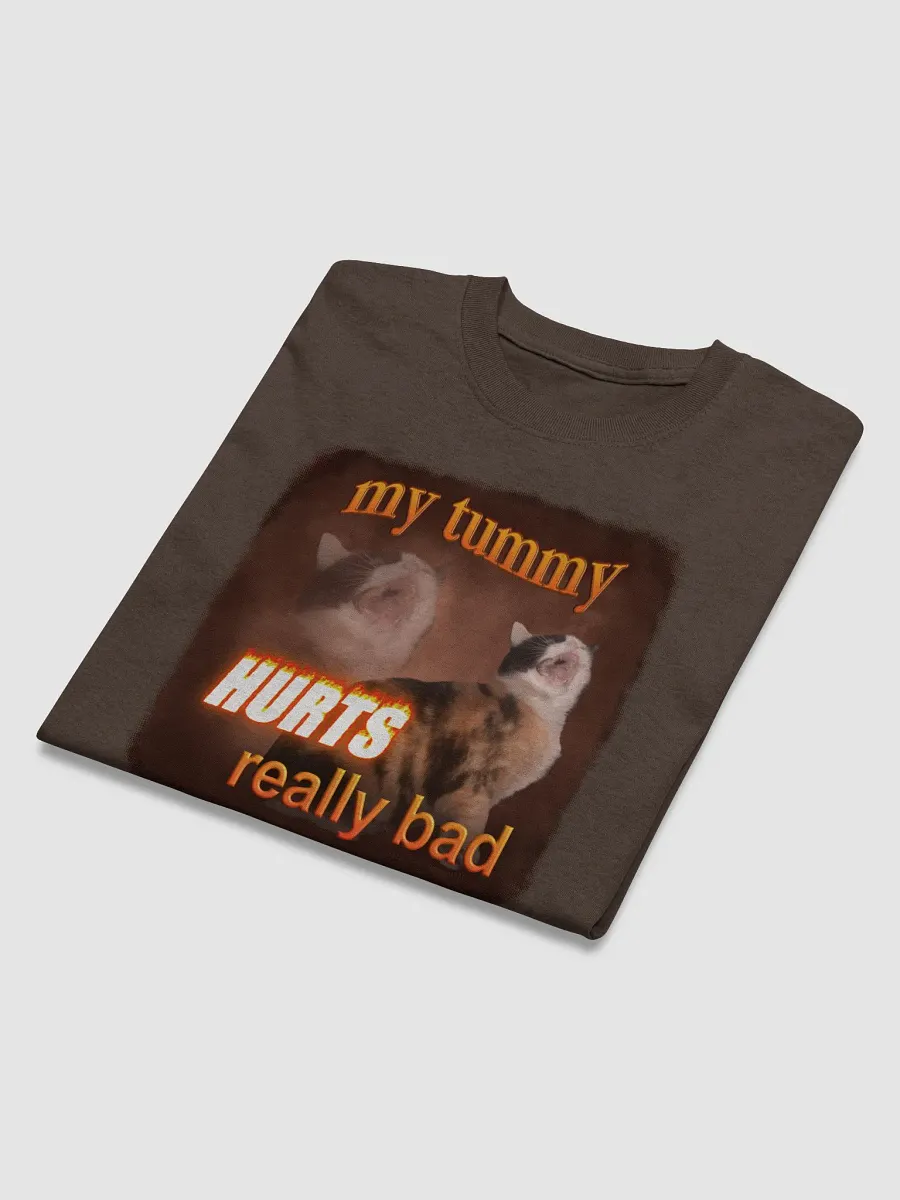 My Tummy Hurts Really Bad - Cat T-shirt product image (4)