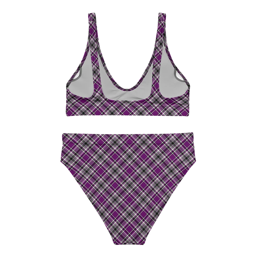Purple, Gray, and Black Plaid Bikini product image (4)