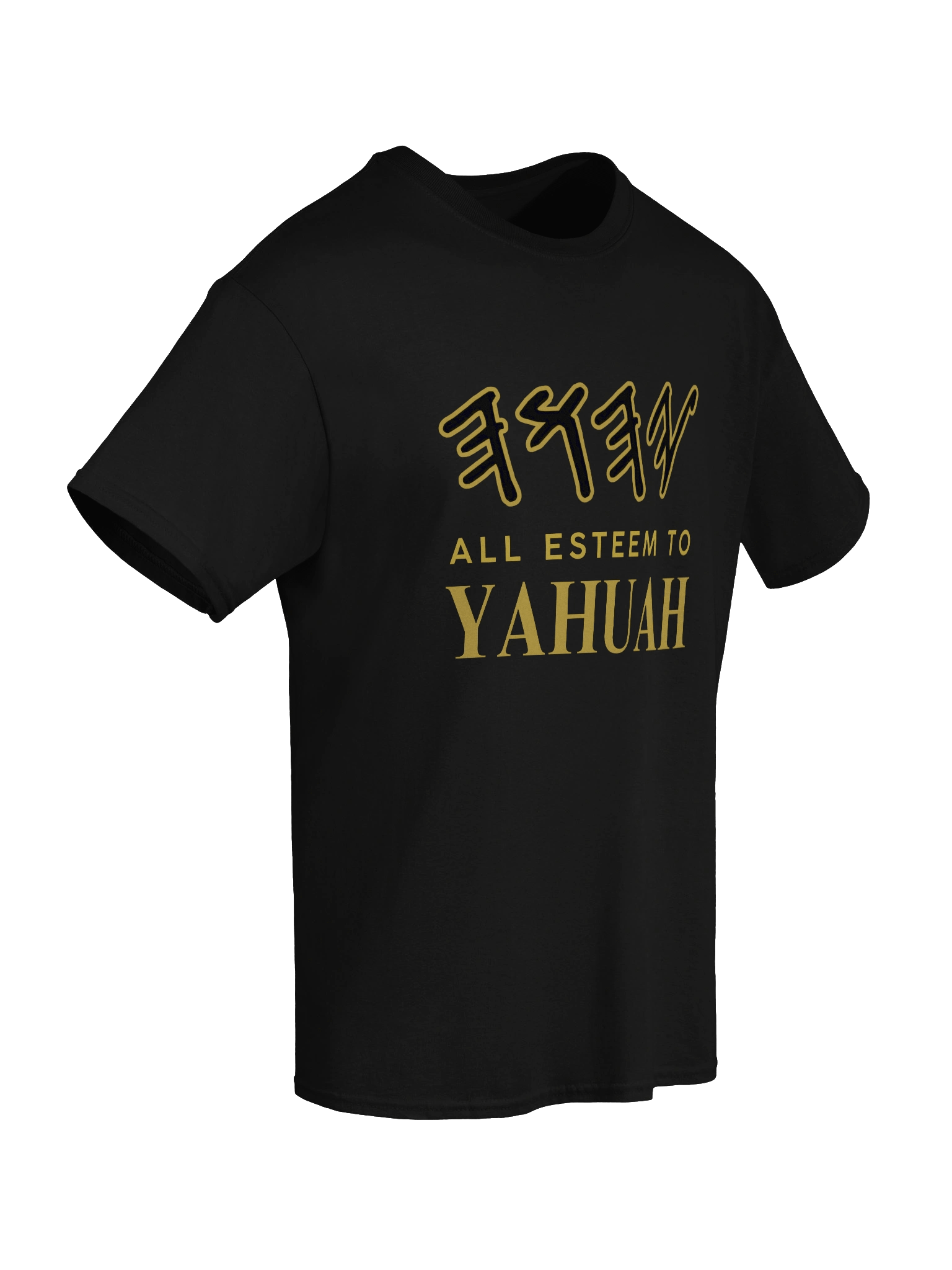 Yasharal Original Music: All Esteem To YAHUAH | T-Shirt product image (64)