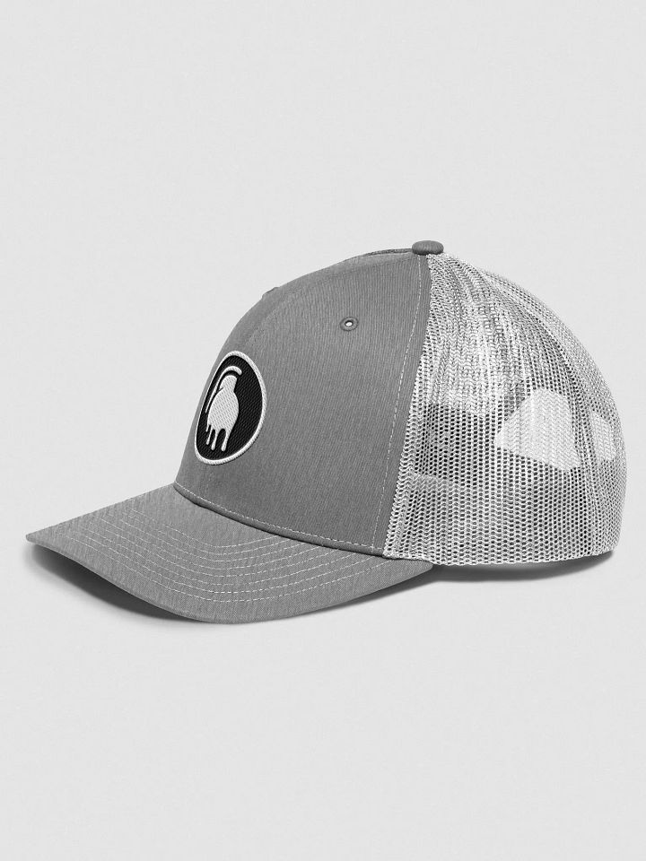 Snap-Back Hat (Multiple Colors) product image (1)