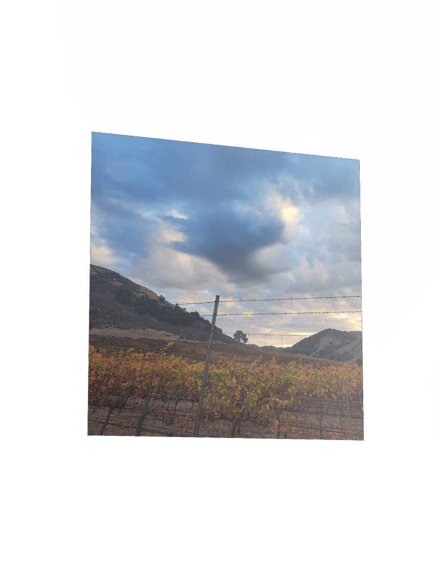 Vineyard Horizon Matte Poster product image (15)