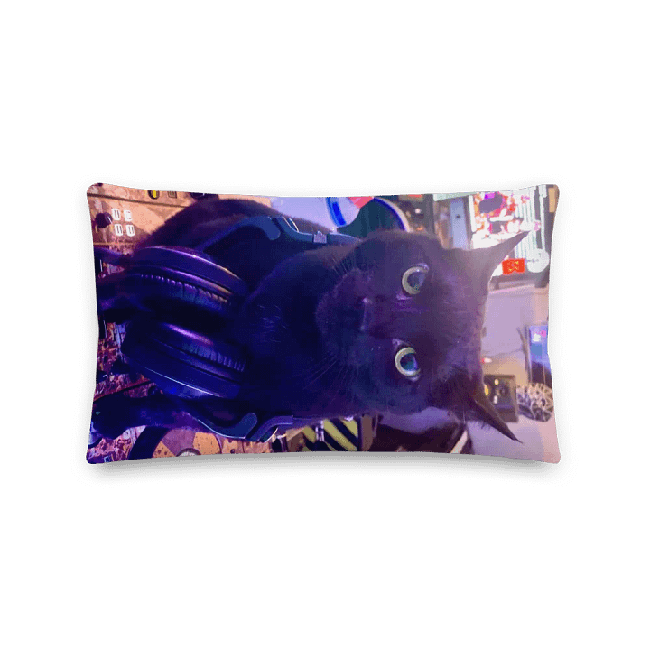 DJ STRIGOI CUDDLE PILLOW product image (5)