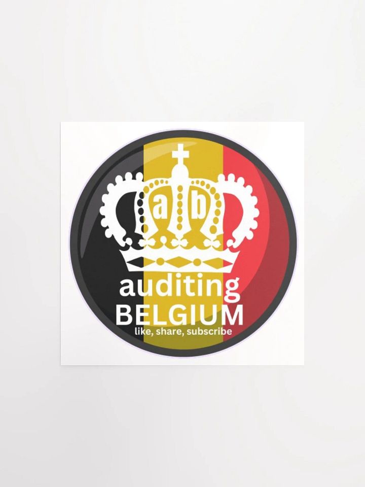 AUDITING BELGIUM product image (1)