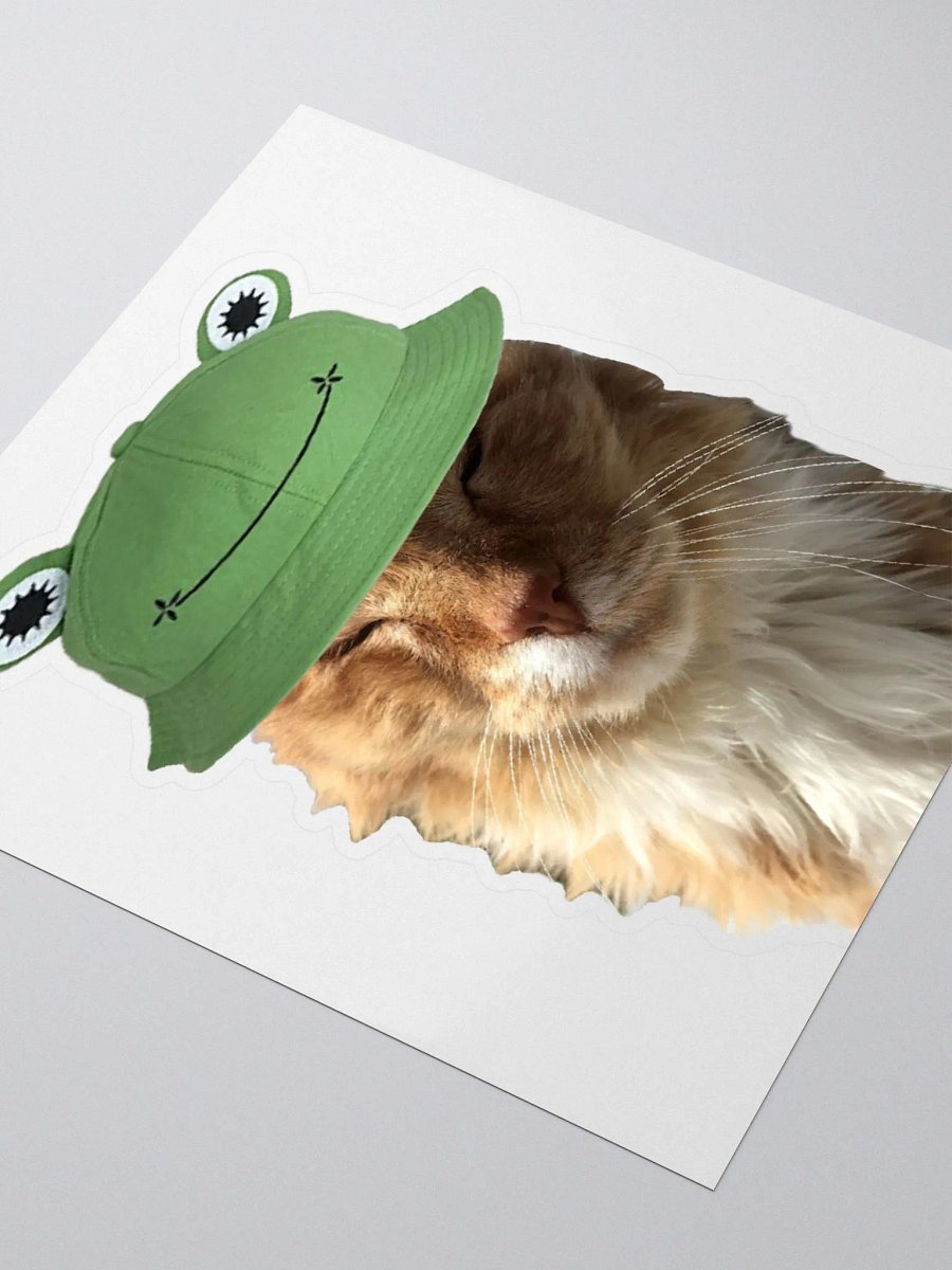 Froggy Boy Sticker product image (3)