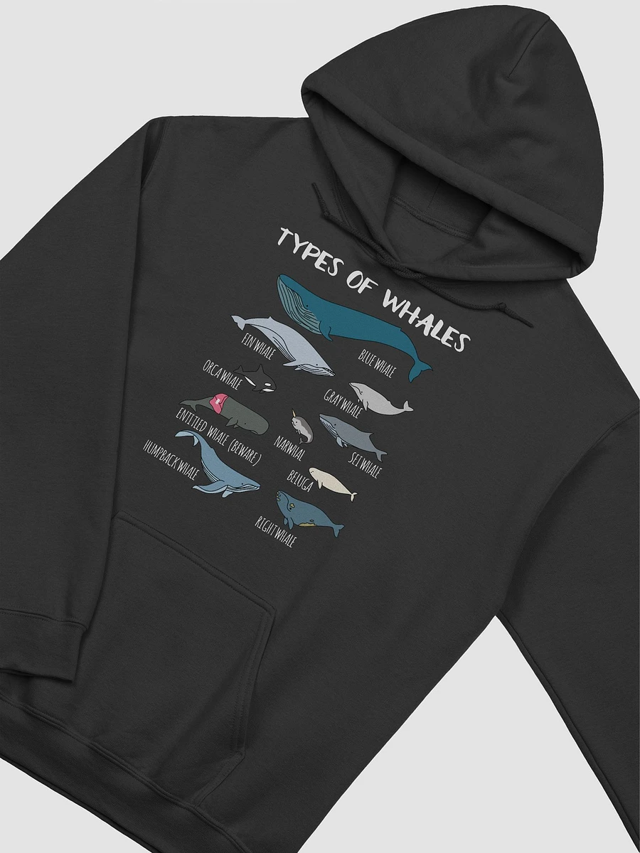Types of Whales - Black Hoodie product image (2)