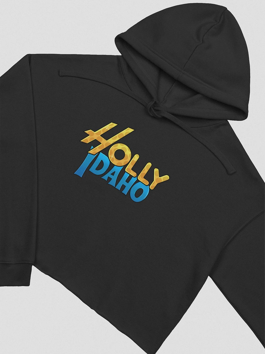 Holly Idaho Logo Crop Hoodie product image (3)