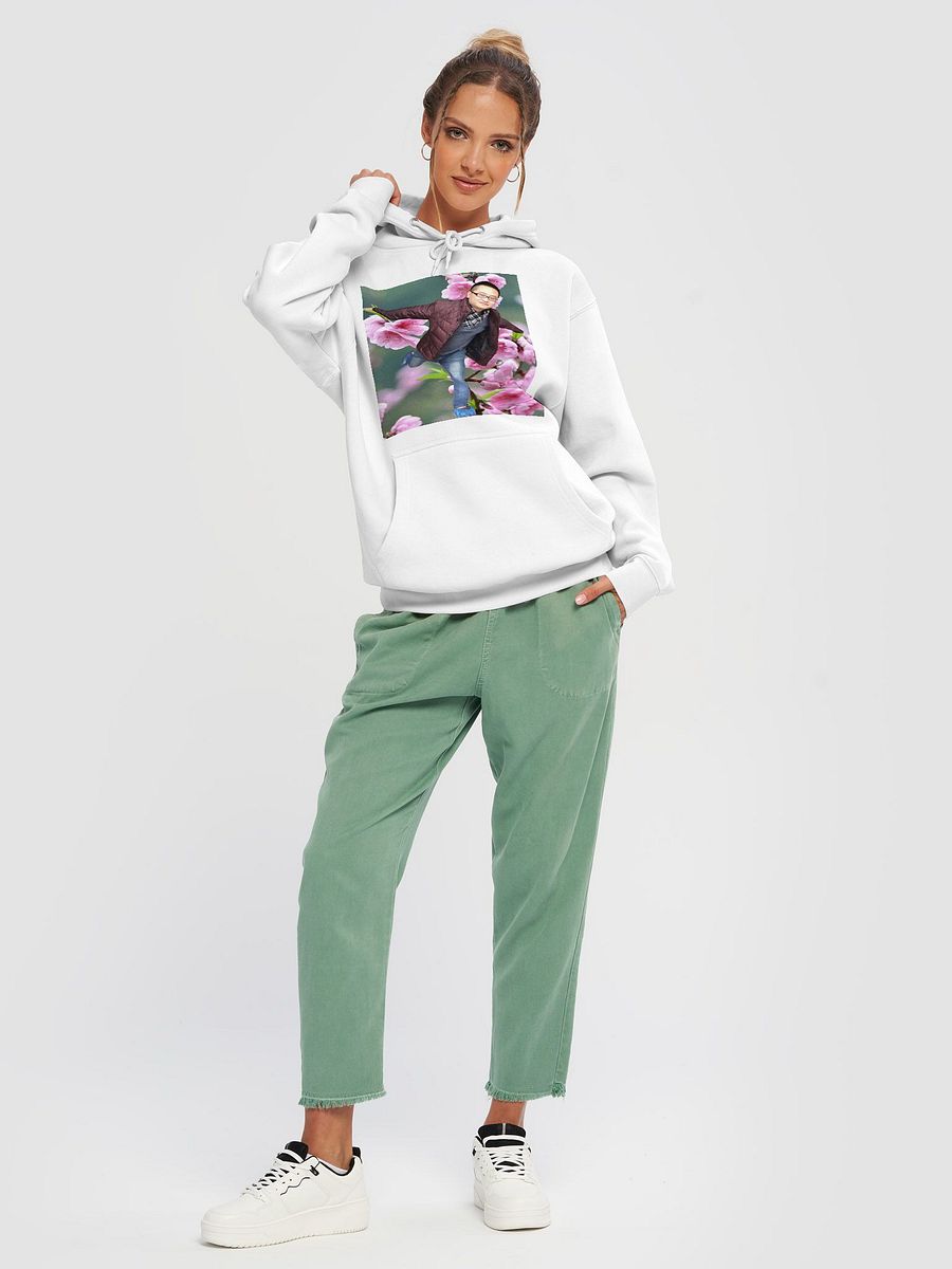 Lane Seven Premium Pullover Hoodie: fly product image (40)
