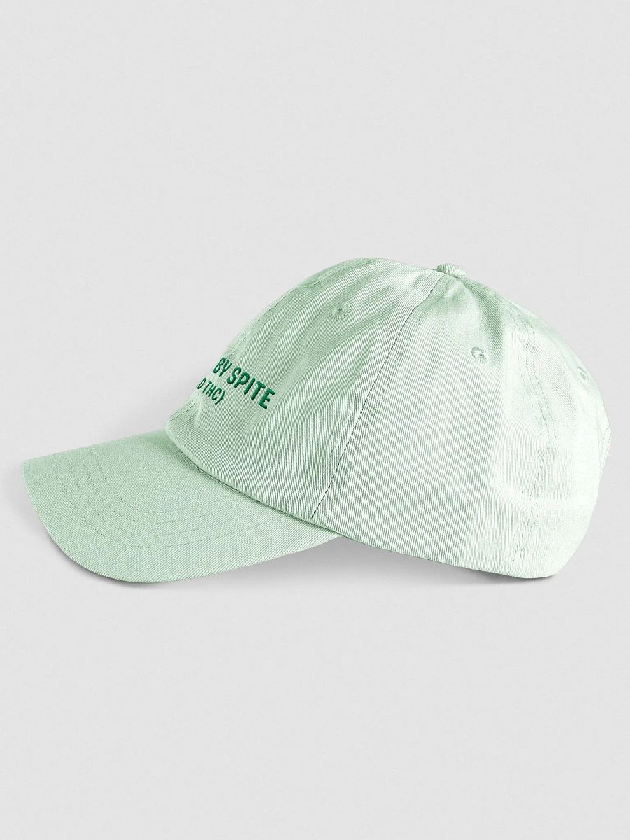 FUELED BY SPITE (green thread) embroidered pastel dad hat product image (3)