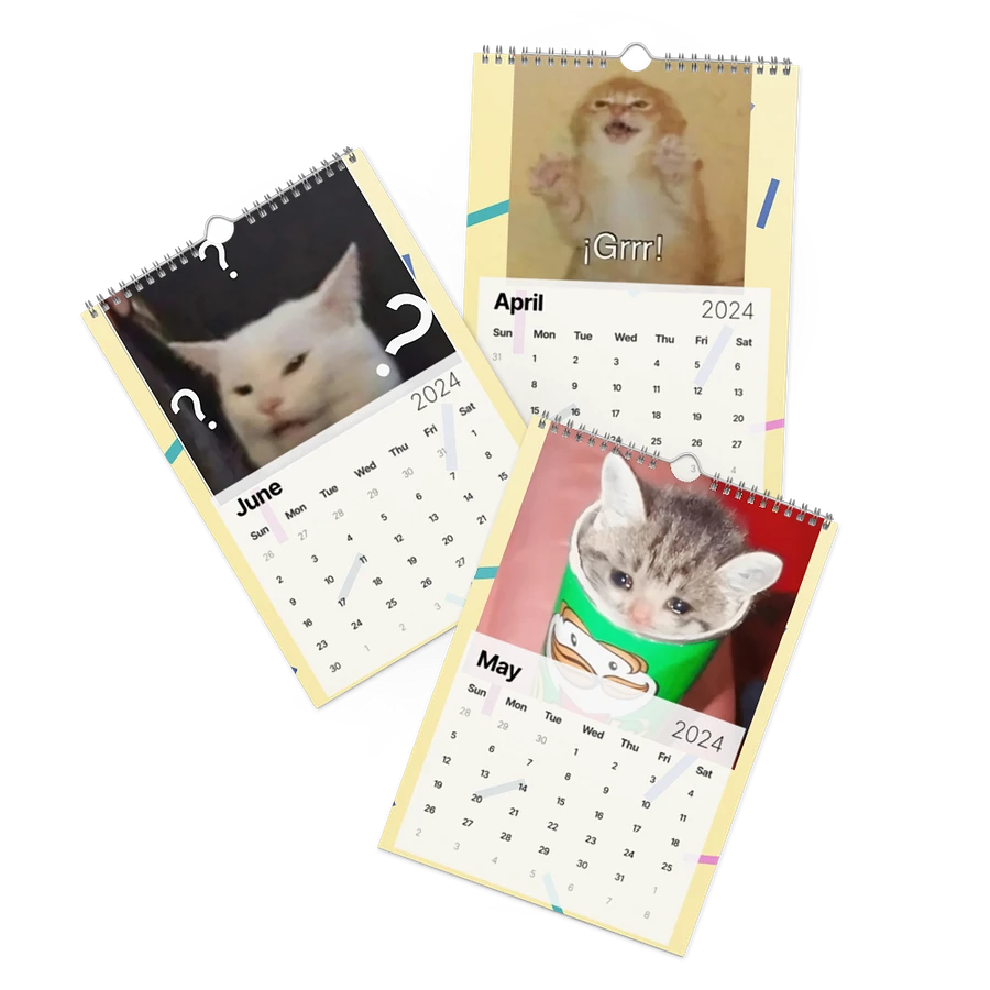 Wall Calendar (2024): Meme Cats product image (3)