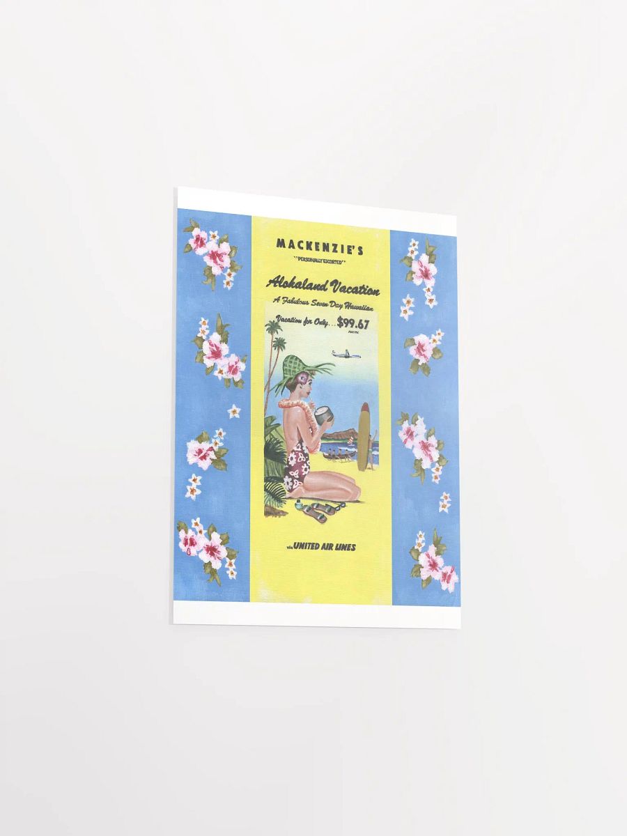 Alohaland Vacation product image (35)