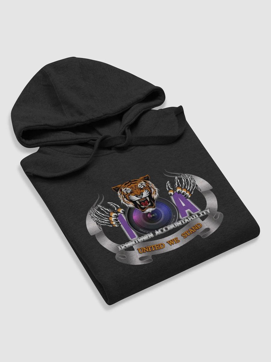 Iron Town Accountability Hoodie product image (6)