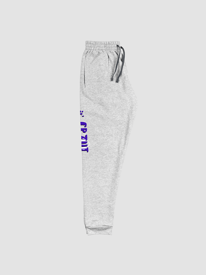 CRZYT GREY SWEATPANTS product image (2)