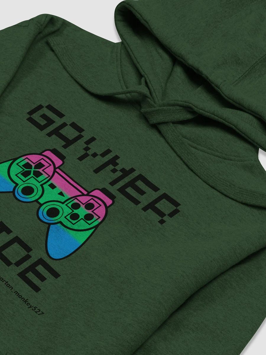Poly Gaymer Pride Hoodie product image (4)