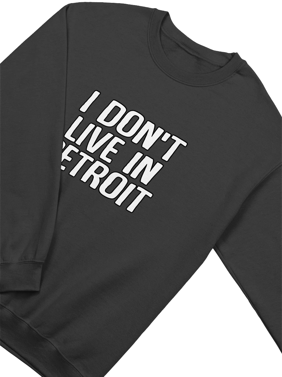 Detroit Sweater product image (3)
