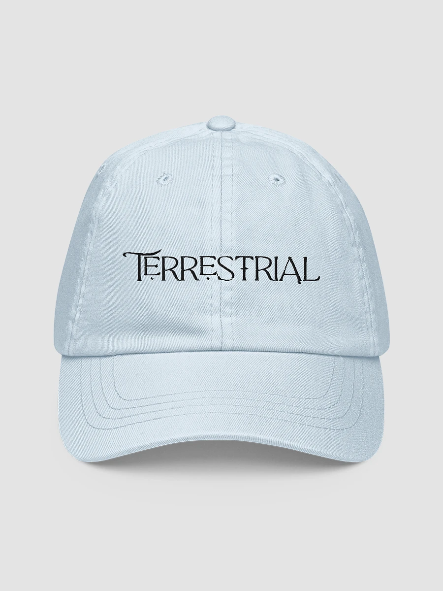 Terrestrial Logo Hat product image (14)