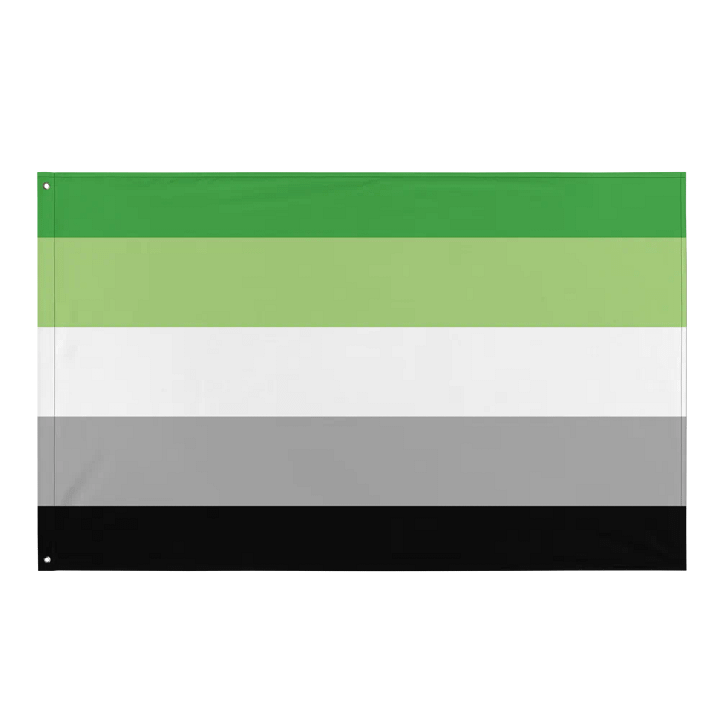 Aromantic Flag product image (1)