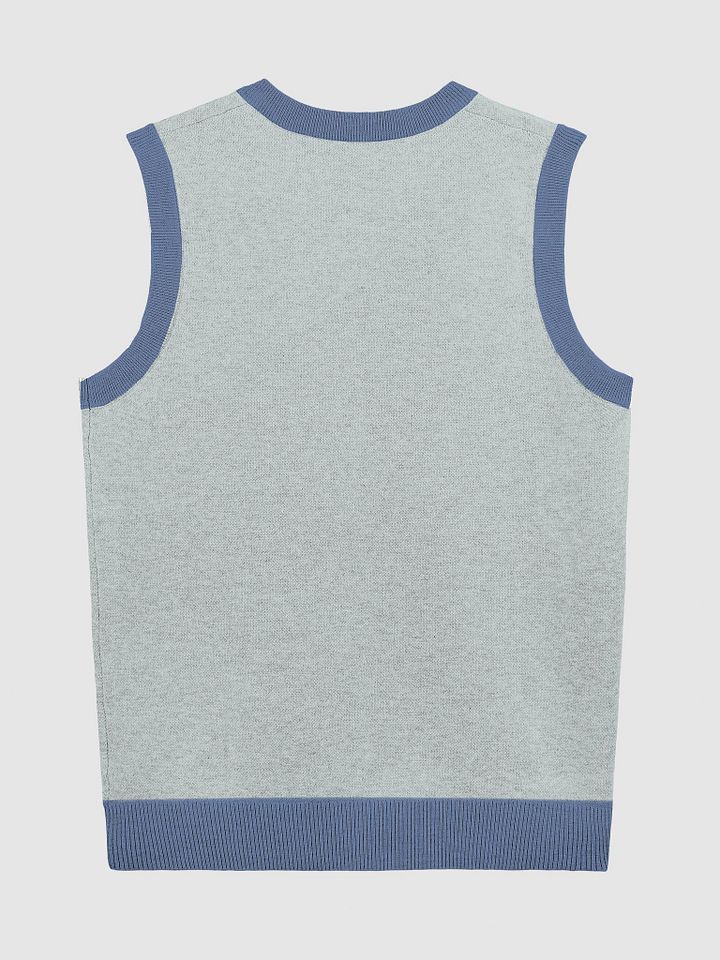 Bubbly and a B*tch (lg. design, duotone blue) knitwear vest product image (9)
