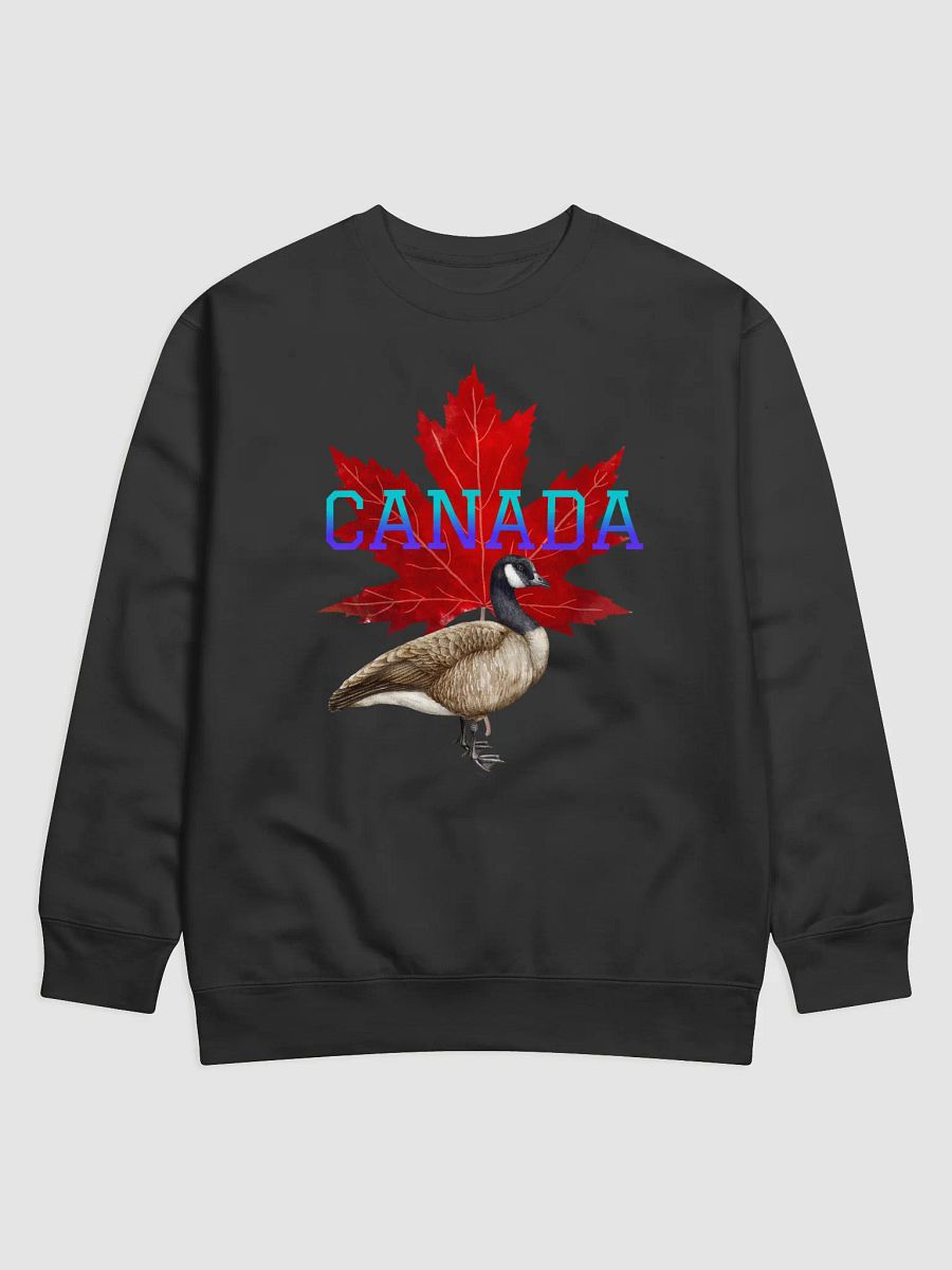 Canadian Spirit Premium Sweatshirt product image (2)