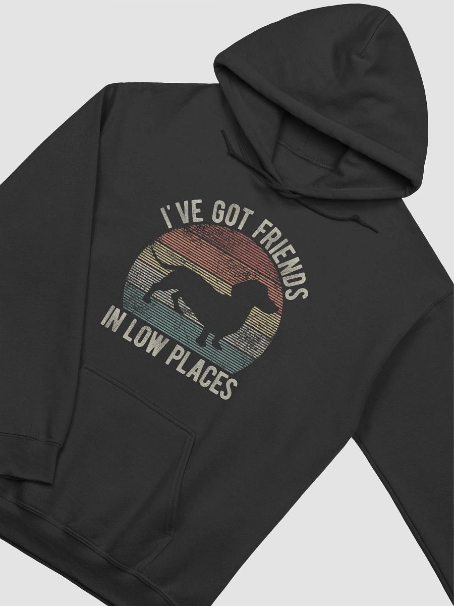 I've Got Friends in Low Places Dachshund Hooded Sweatshirt | Funny Vintage-Style Hoodie for Wiener Pawrents product image (4)