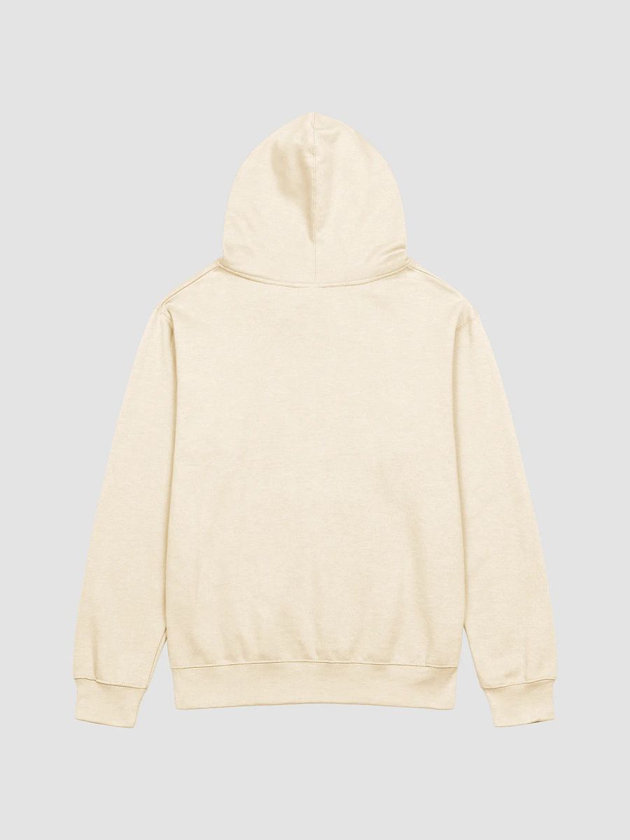 Public Domain Boat Hoodie product image (9)