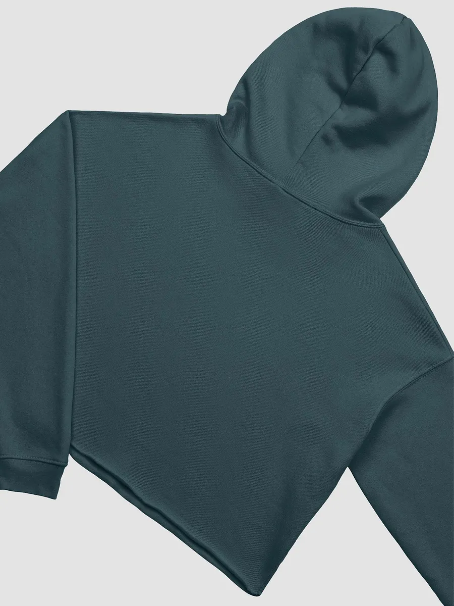 DTK 70's Logo Crop Top Sweatshirt! product image (21)
