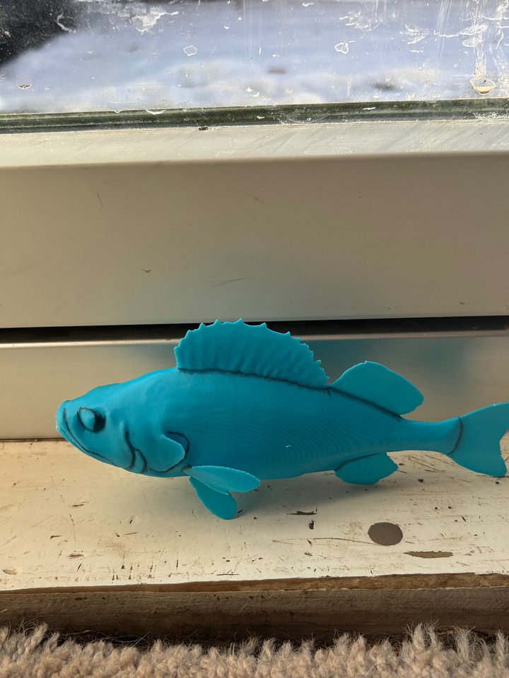 3D printed fish mount product image (1)