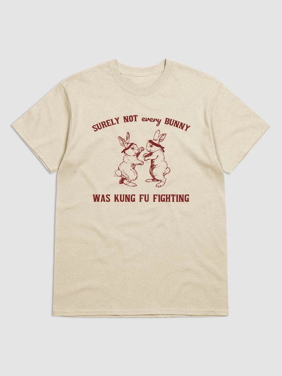 Surely not every bunny was kung fu fighting product image (1)